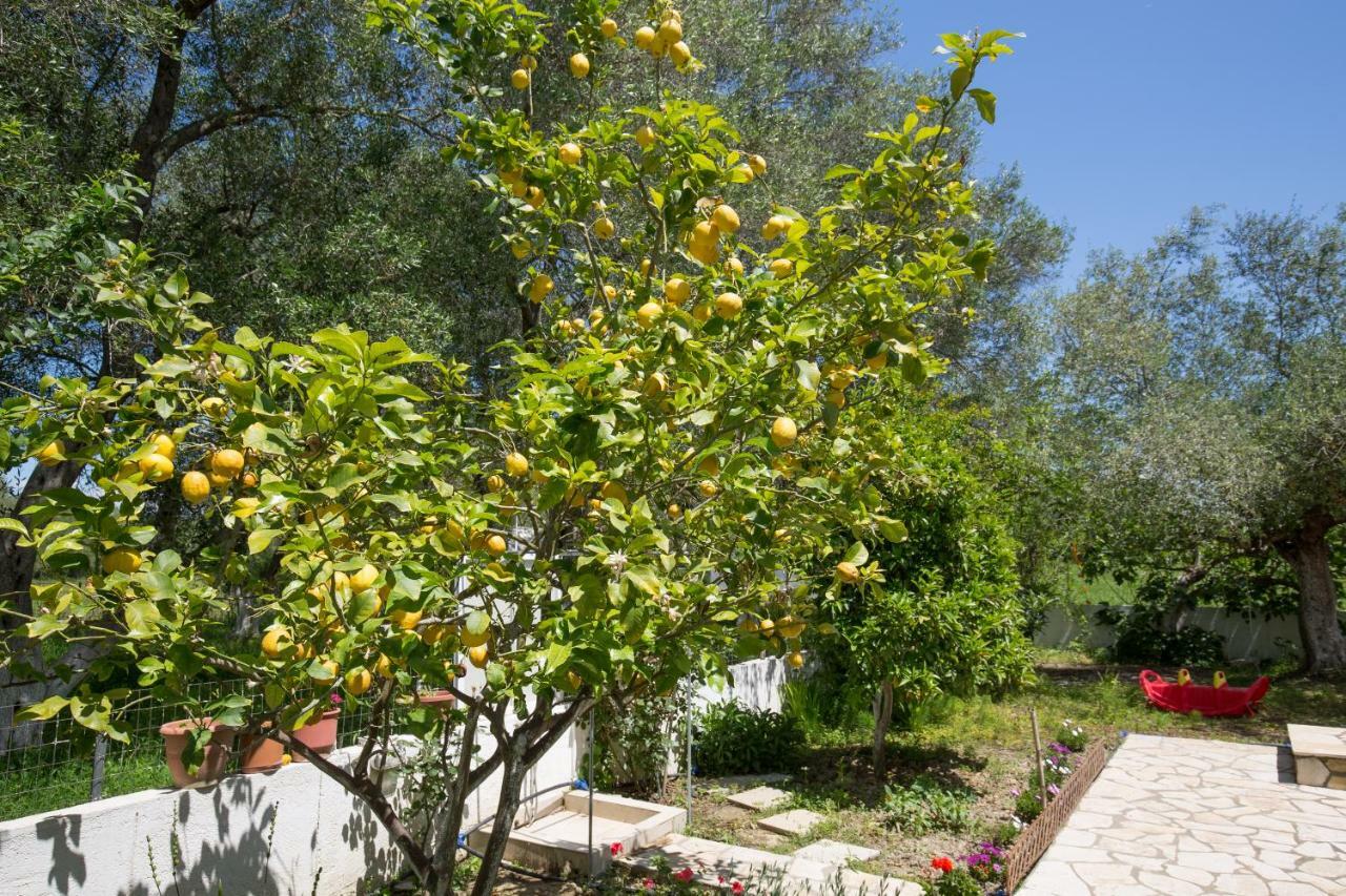 Karia Holiday Home 레프킴미 외부 사진